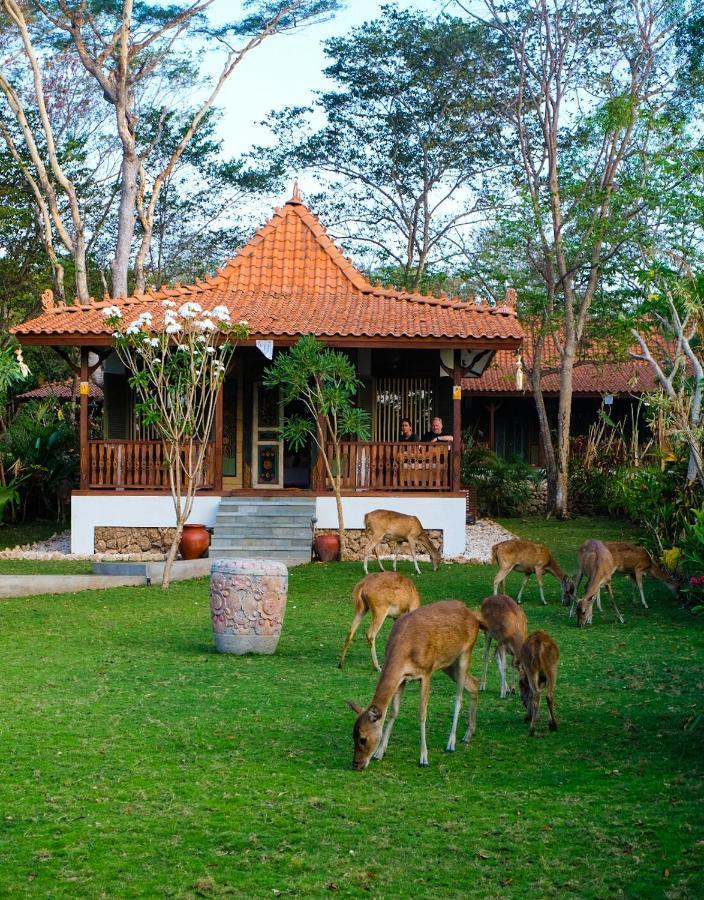 Plataran Menjangan Resort And Spa - Chse Certified Banyuwedang Habitación foto
